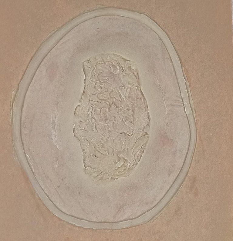 IMG_20250528_153905-1