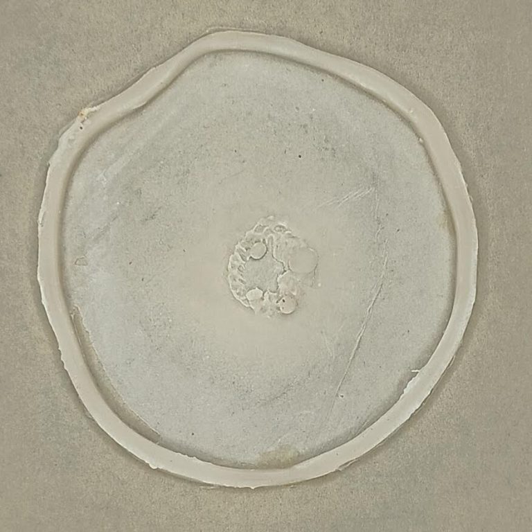 IMG_20250528_160143-1