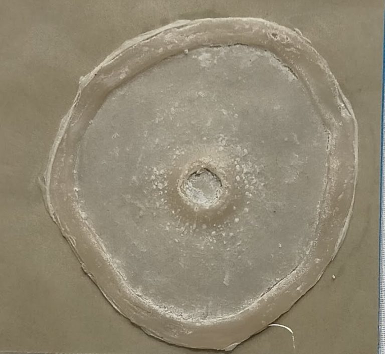 IMG_20250528_163349-1