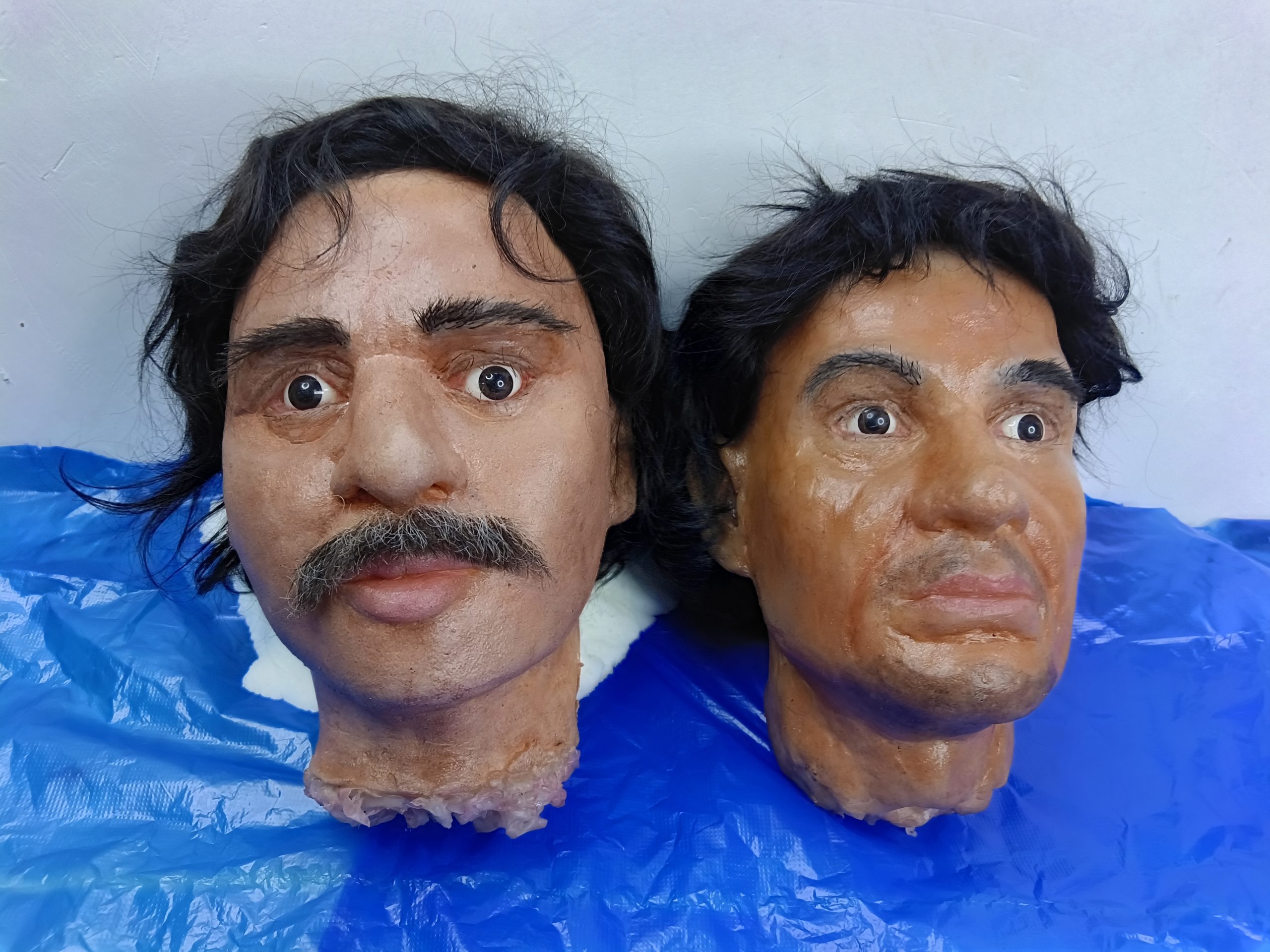 Identical Faces Skulls